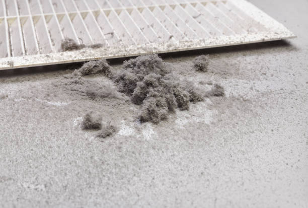 Best Air Vent Cleaning Services  in Benson, NC