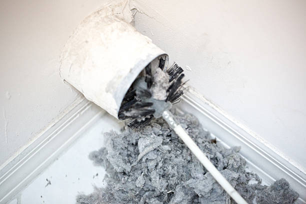 Best Dryer Vent Cleaning Services  in Benson, NC